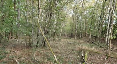 Land of 5,585 m² in Montereau (45260)