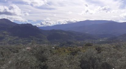 Land of 1,700 m² in Buis-les-Baronnies (26170)
