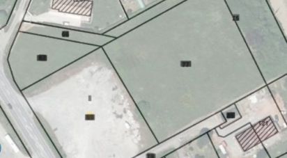 Land of 13,000 m² in Monbéqui (82170)