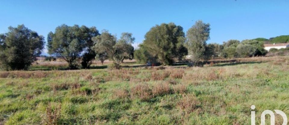 Terrain agricole de 3 282 m² à Valros (34290)