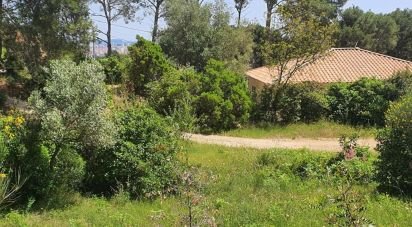 Land of 1,055 m² in Ollioules (83190)