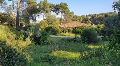 Land of 1,055 m² in Ollioules (83190)