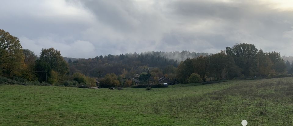 Terrain agricole de 55 781 m² à Neuvic-Entier (87130)