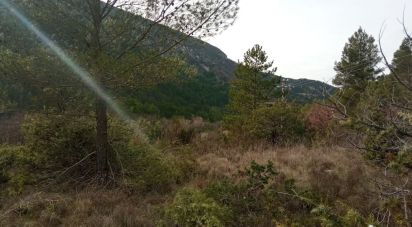 Land of 5,270 m² in Buis-les-Baronnies (26170)