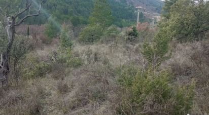Land of 5,270 m² in Buis-les-Baronnies (26170)