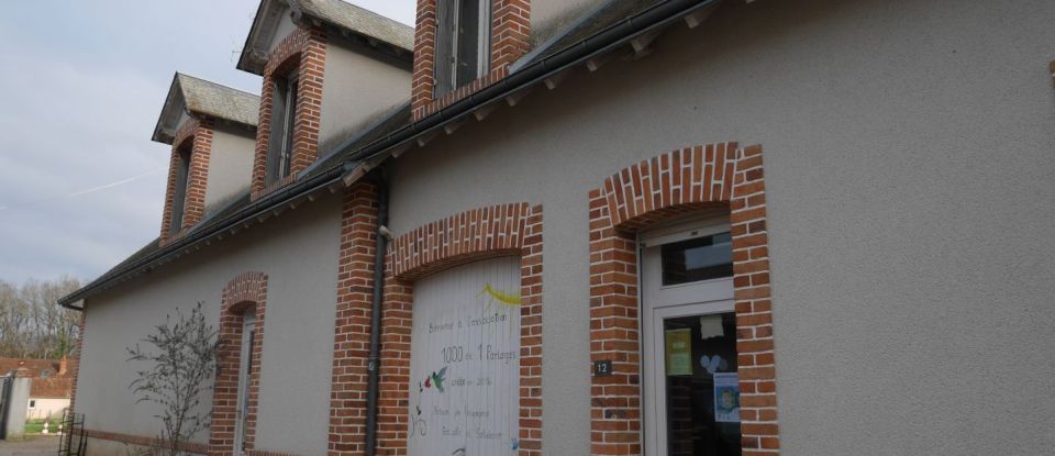 Commercial walls of 300 m² in Neung-sur-Beuvron (41210)