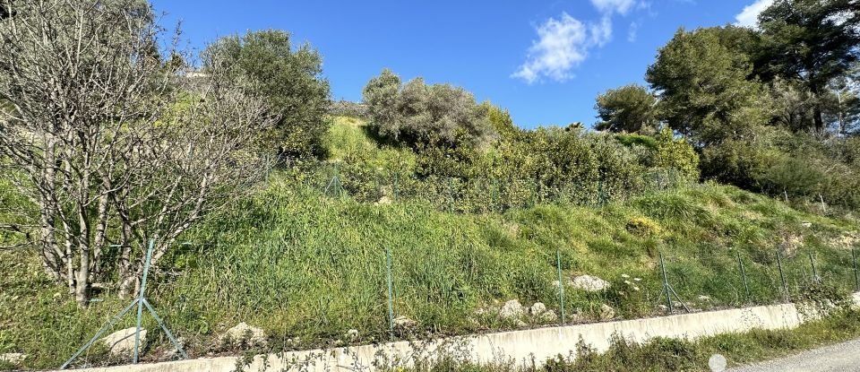Land of 3,925 m² in - (06570)