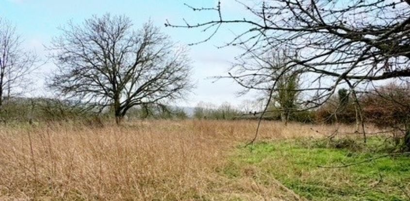Land of 2,000 m² in Neuville-sur-Touques (61120)