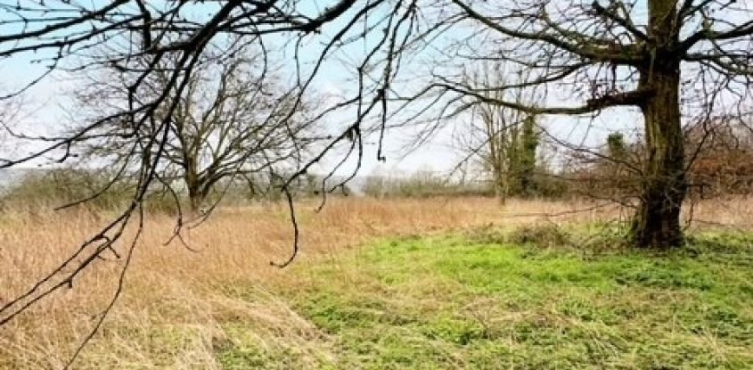 Land of 2,000 m² in Neuville-sur-Touques (61120)