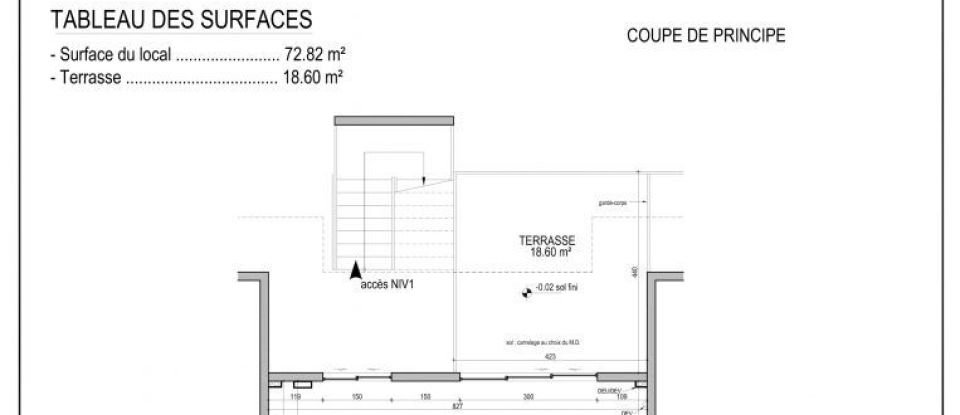 Retail property of 73 m² in Saint-Martin (97150)