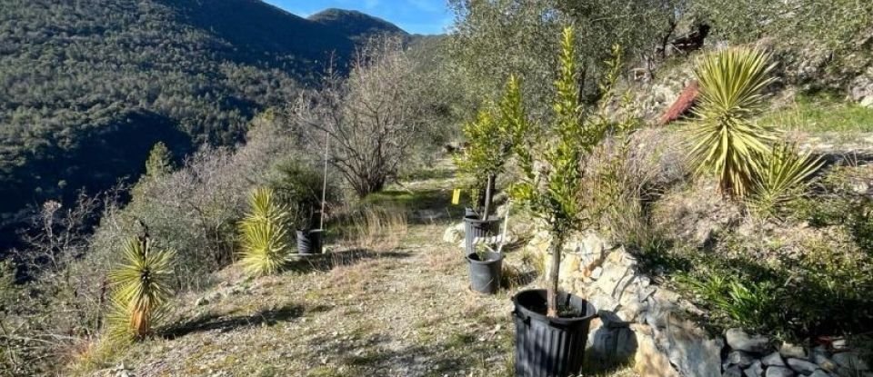 House 3 rooms of 74 m² in Pierrefeu (06910)