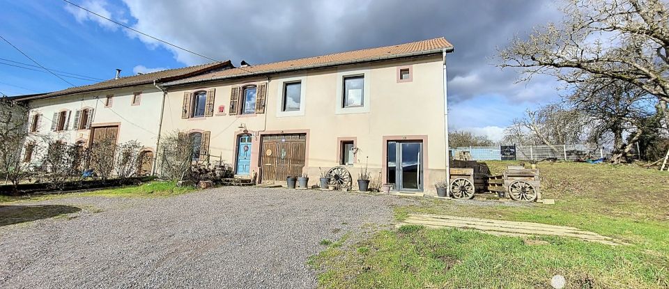 Maison 7 pièces de 200 m² à Provenchères-et-Colroy (88490)
