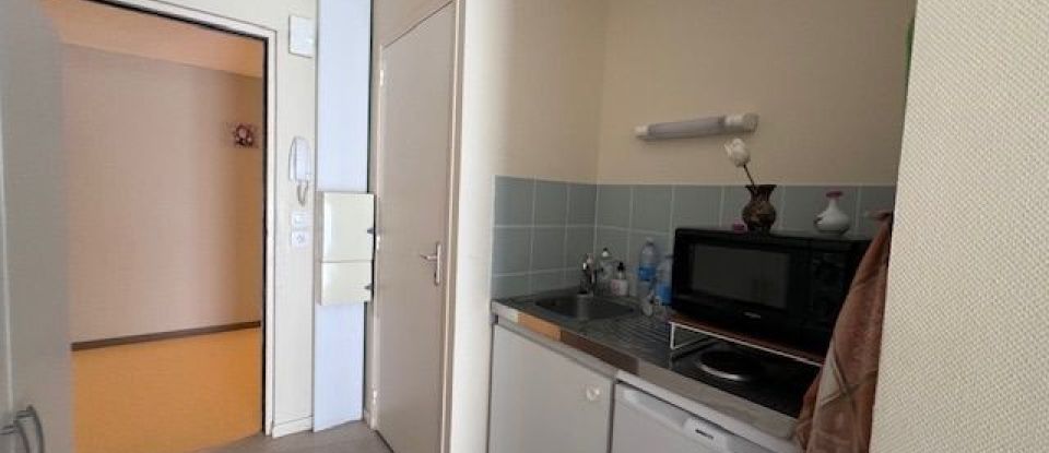 Apartment 2 rooms of 46 m² in Villedieu-sur-Indre (36320)