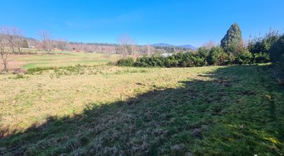 Land of 2,050 m² in Saulcy-sur-Meurthe (88580)
