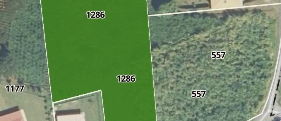 Land of 4,000 m² in Sainte-Marie (97230)
