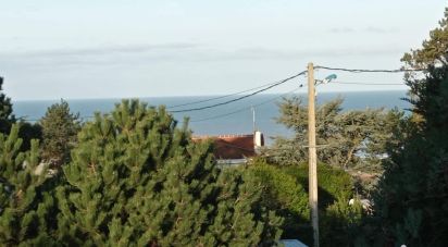 House 2 rooms of 33 m² in Criel-sur-Mer (76910)