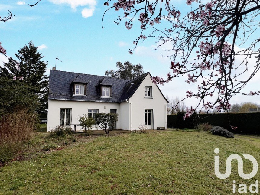 Maison traditionnelle 7 pièces de 136 m² à Beaufort-en-Anjou (49250)