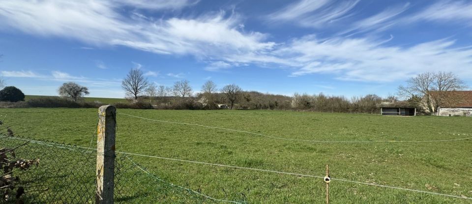 Land of 9,551 m² in Herry (18140)
