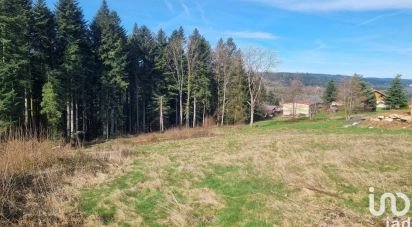 Land of 3,195 m² in Anould (88650)