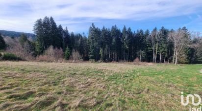 Land of 3,195 m² in Anould (88650)