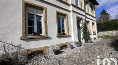 Maison traditionnelle 8 pièces de 234 m² à Tritteling-Redlach (57385)