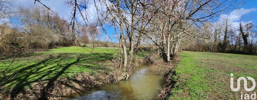 Land of 12,117 m² in Luzeret (36800)