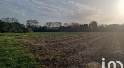 Agricultural land of 27,449 m² in Elne (66200)