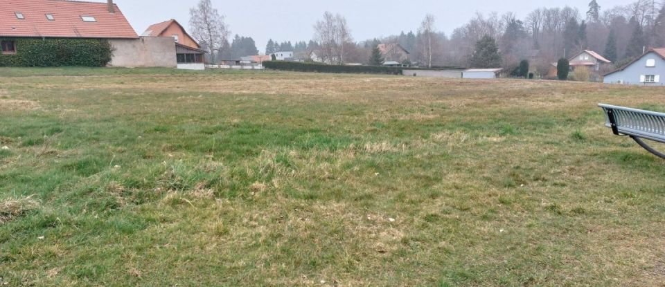 Terrain de 1 338 m² à Phalsbourg (57370)