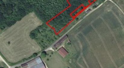 Land of 4,828 m² in Bleigny-le-Carreau (89230)