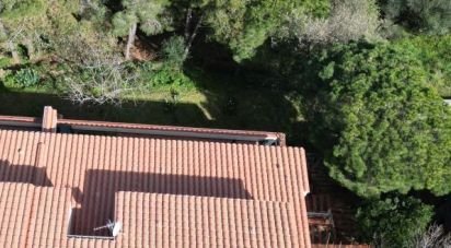 House 4 rooms of 145 m² in Banyuls-sur-Mer (66650)