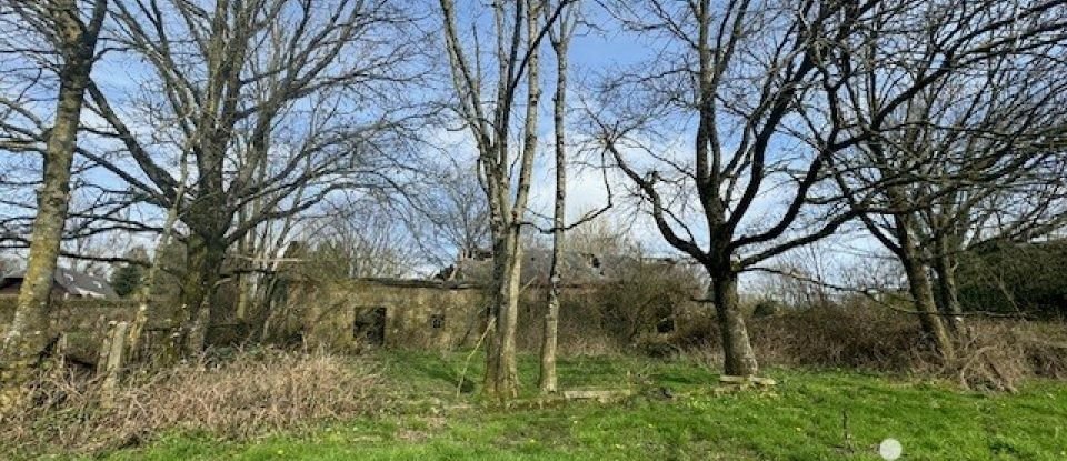 Agricultural land of 42,435 m² in Croisilles (61230)