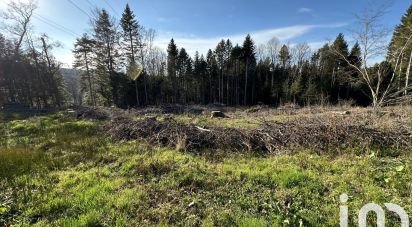 Land of 2,656 m² in Anould (88650)