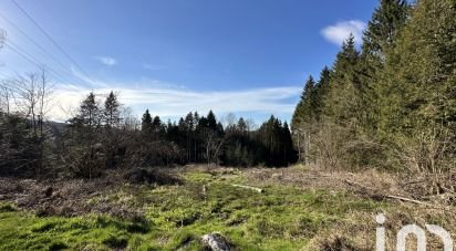 Land of 3,744 m² in Anould (88650)