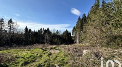Land of 3,744 m² in Anould (88650)
