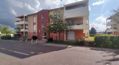Appartement 1 pièce de 43 m² à Caudebec-lès-Elbeuf (76320)
