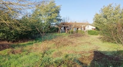 House 3 rooms of 76 m² in Lesparre-Médoc (33340)