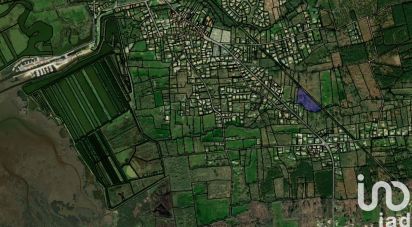 Land of 14,736 m² in Audenge (33980)