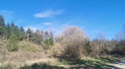 Land of 15,400 m² in Roumoules (04500)