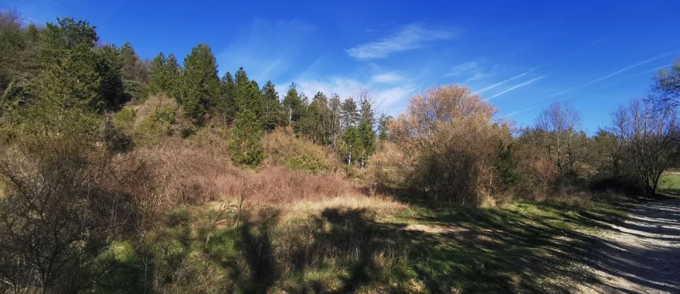 Land of 15,400 m² in Roumoules (04500)
