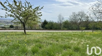 Land of 1,004 m² in Condrieu (69420)