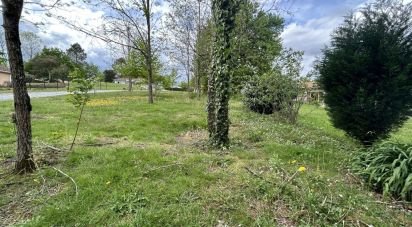 Land of 1,266 m² in Misson (40290)
