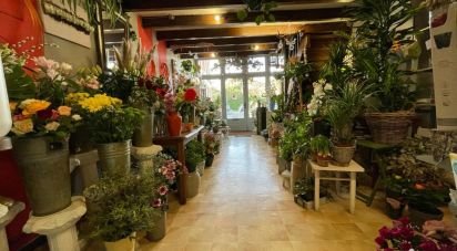 Retail property of 50 m² in Castanet-Tolosan (31320)