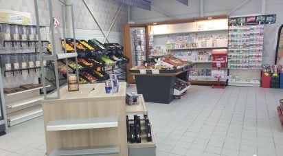 Business premises of 235 m² in Champtocé-sur-Loire (49123)