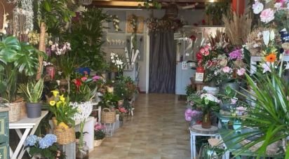 Retail property of 50 m² in Castanet-Tolosan (31320)