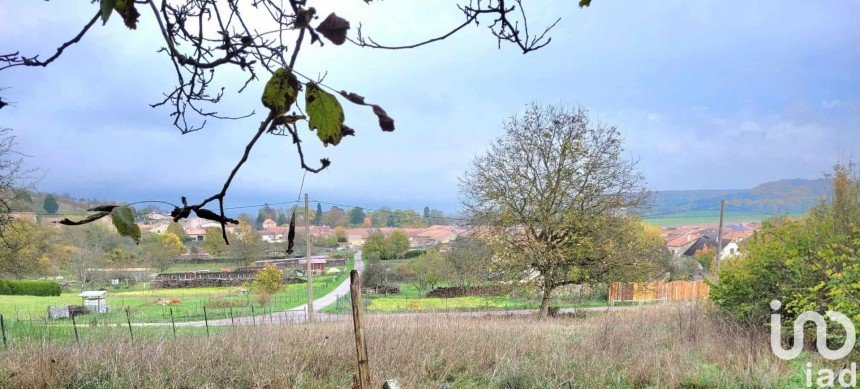 Land of 1,000 m² in Trondes (54570)