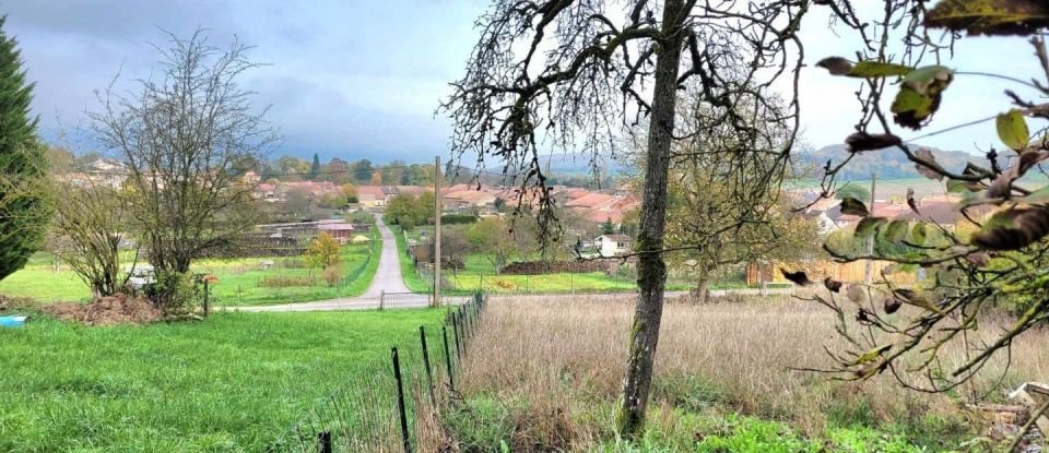 Land of 1,000 m² in Trondes (54570)
