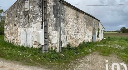 Barn conversion 3 rooms of 153 m² in Nieul-lès-Saintes (17810)