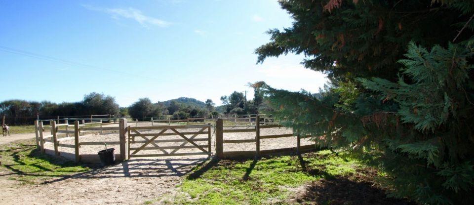 Equestrian facility 5 rooms of 170 m² in Le Val (83143)