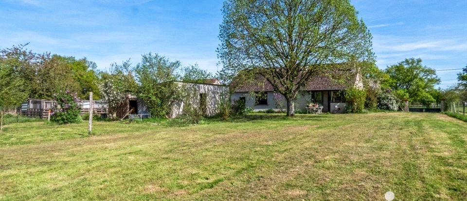 Maison traditionnelle 5 pièces de 78 m² à Sury-aux-Bois (45530)