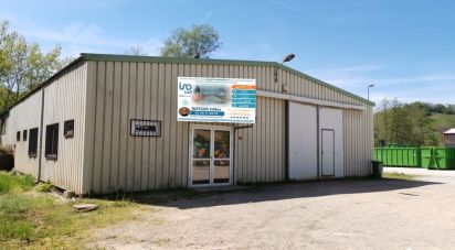Business premises of 465 m² in Chazey-Bons (01300)